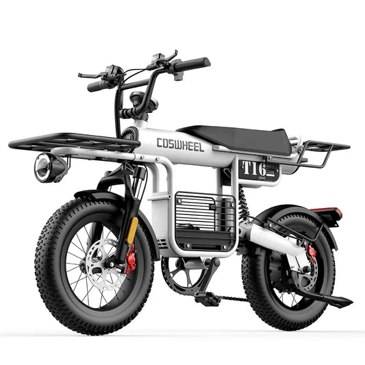 KTX-810643 16-Inch Fat Tire E-Bike with 1000W Motor, 48V Battery, 7-Speed Gears and Hydraulic Disc Brakes