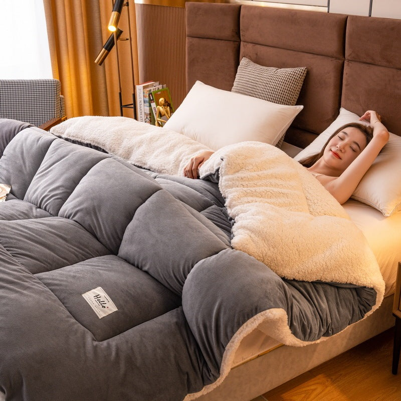 KTX-814867 Reversible Velvet Thickened Duvet Insert with Antibacterial Fiber Filling, Multiple Sizes Available