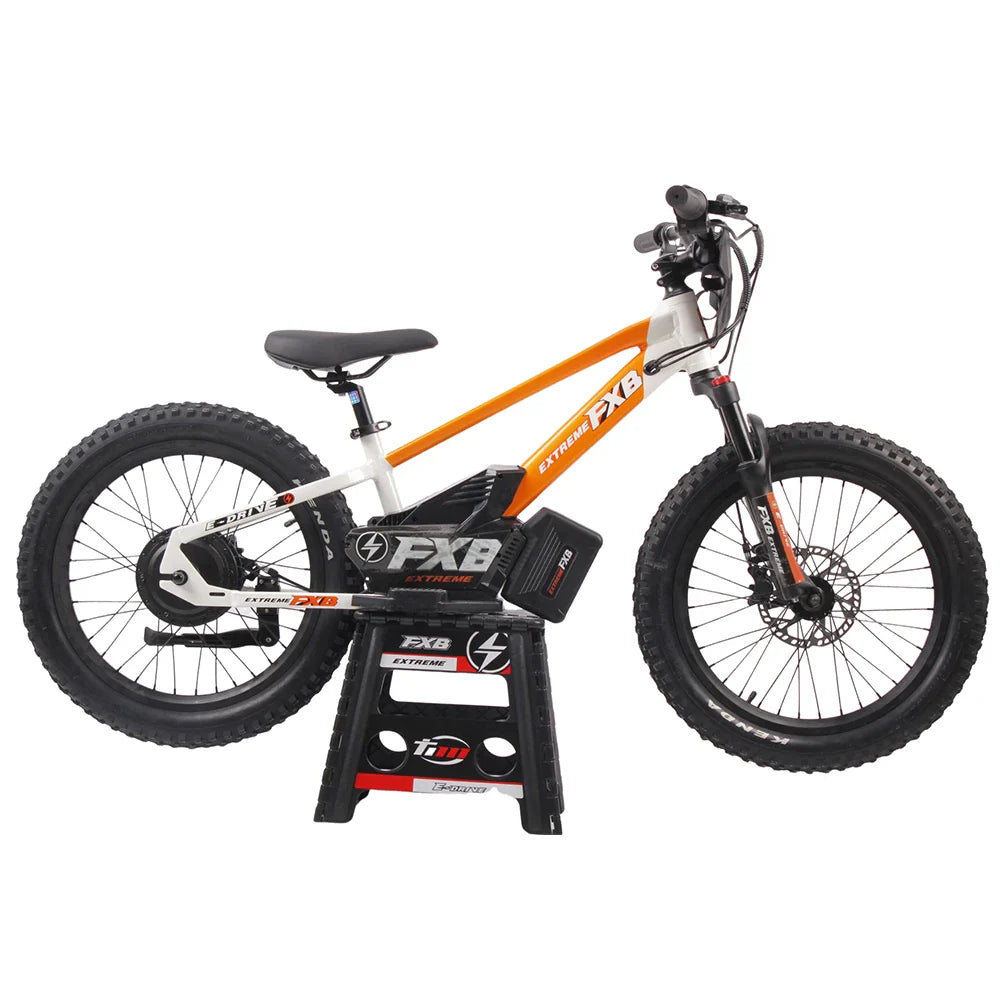 KTX-819411 36V 10Ah Electric Balance Bike with 800W Brushless Hub Motor, 20-Inch Frame, Hydraulic Disc Brakes, for Ages 8-14