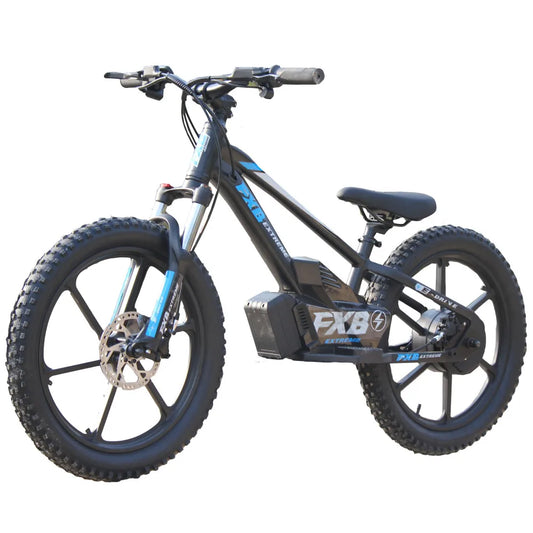 KTX-821715 20 Inch Electric Kids City Bike with 600W/800W Brushless Hub Motor, Hydraulic Suspension, and 3 Speed Gears