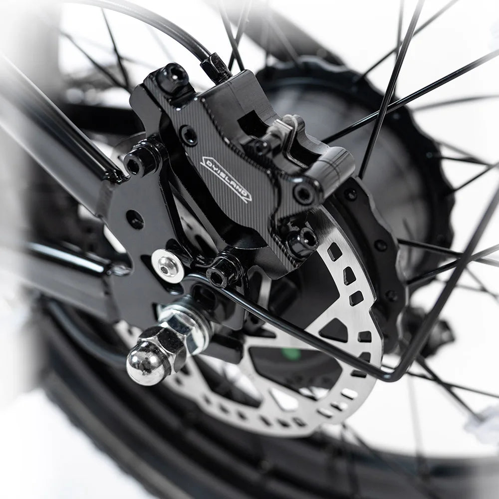 KTX-824531 Dual Battery Fast Electric Cargo Bike, 2000W, Max Speed 60km/h, 48V System