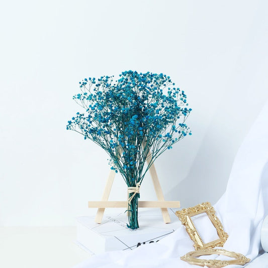 KTX-825683 Air-Dried Gypsophila Dried Flower Bouquet for Elegant Living Room Decor