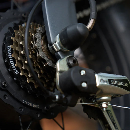 KTX-826451 20" Fat Tire Electric Bike with 1000W/1500W Rear Hub Motor and 20Ah Lithium Battery