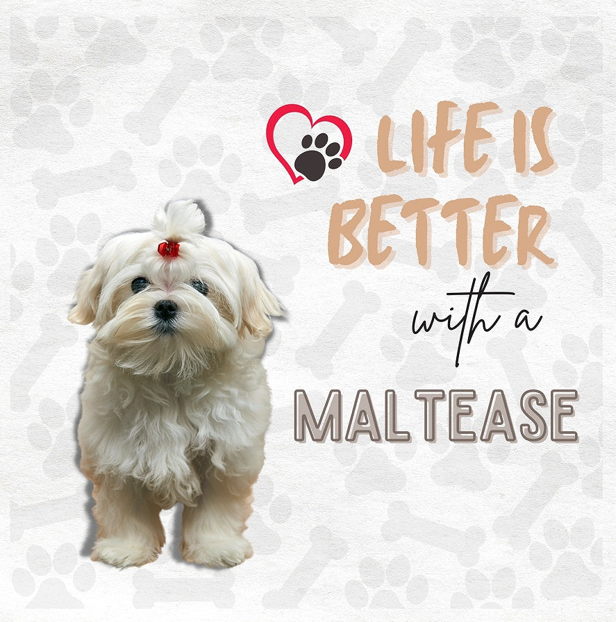 KTX-827859 Cat Art Mural Cotton Linen Pillowcase with Invisible Zipper, 45x45 cm