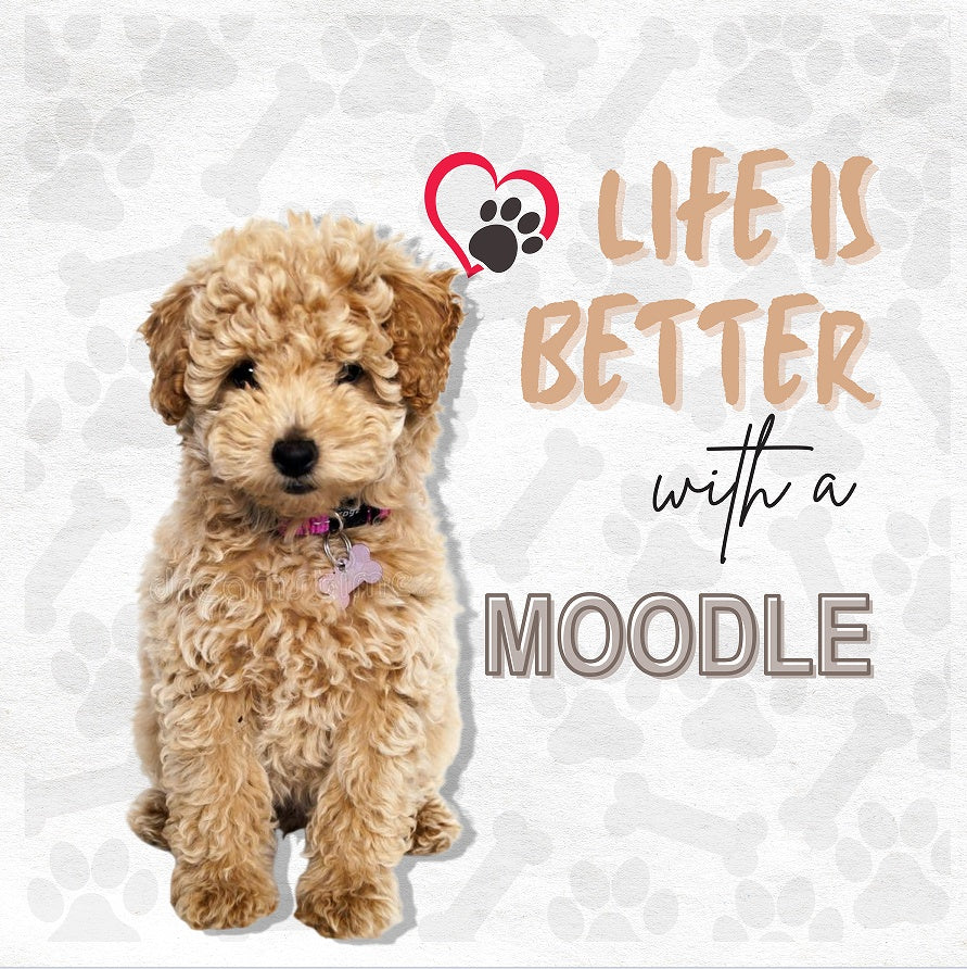 KTX-827859 Cat Art Mural Cotton Linen Pillowcase with Invisible Zipper, 45x45 cm