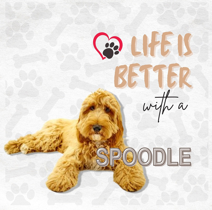 KTX-827859 Cat Art Mural Cotton Linen Pillowcase with Invisible Zipper, 45x45 cm