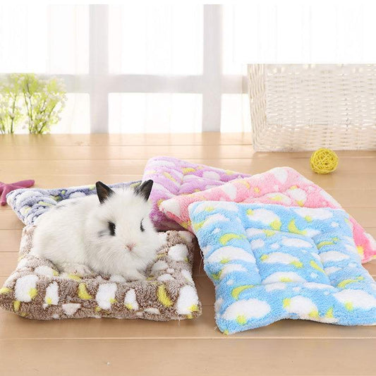 KTX-828371 Candy Color Pet Sleeping Mat – Soft Coral Velvet with Pearl Cotton, Multi Sizes Available