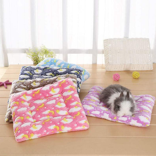 KTX-828371 Candy Color Pet Sleeping Mat – Soft Coral Velvet with Pearl Cotton, Multi Sizes Available