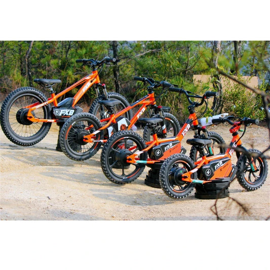 KTX-838675 Electric 16-Inch Kids Bicycle with 2-Speed, Aluminum Frame, Disc Brake, and Lithium Battery