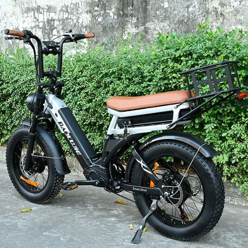 KTX-846483 48V 30AH Lithium Battery Electric City Bike with 2000W Central Motor and Disc Brakes