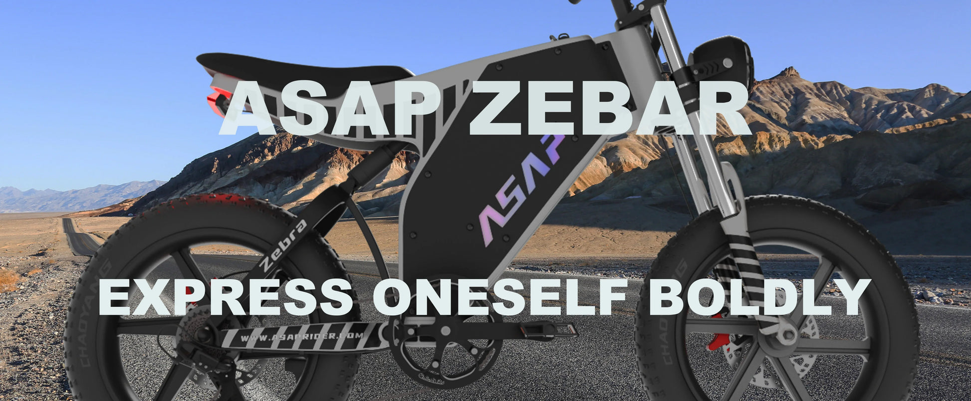 KTX-894291 20 Inch Full Suspension Electric Off-Road Fat Tire Bike with 1000W Motor and 48V Battery