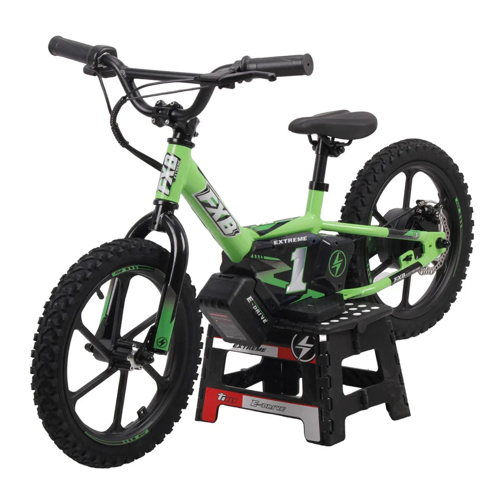 KTX-901907 FXB 16-Inch Electric Balance Bike with Aluminum Alloy Frame and 350W Motor for Kids 5-14 Years
