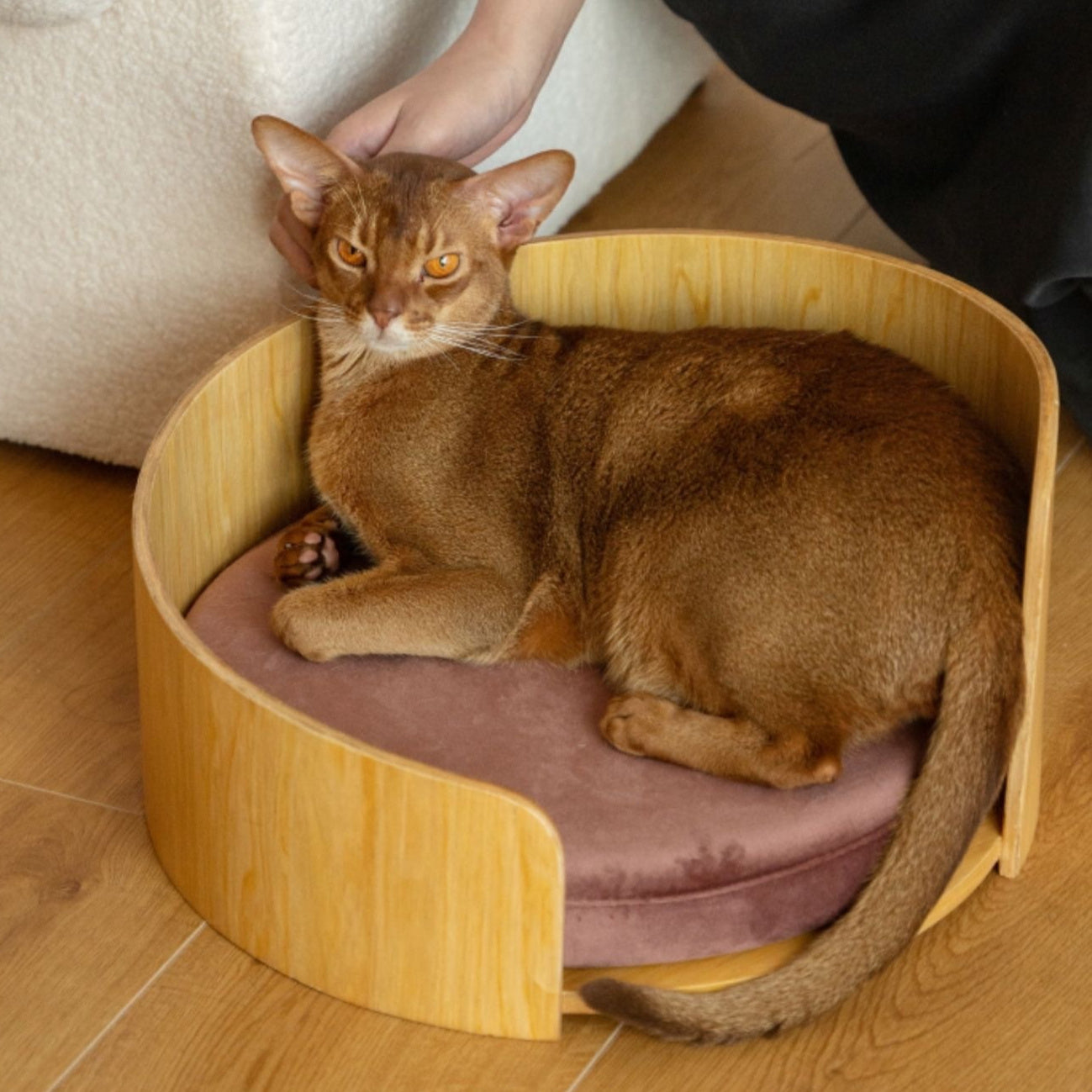 KTX-917587 Removable Solid Wood Cat Bed with Walnut Finish - Sizes 35x24cm & 50x24cm