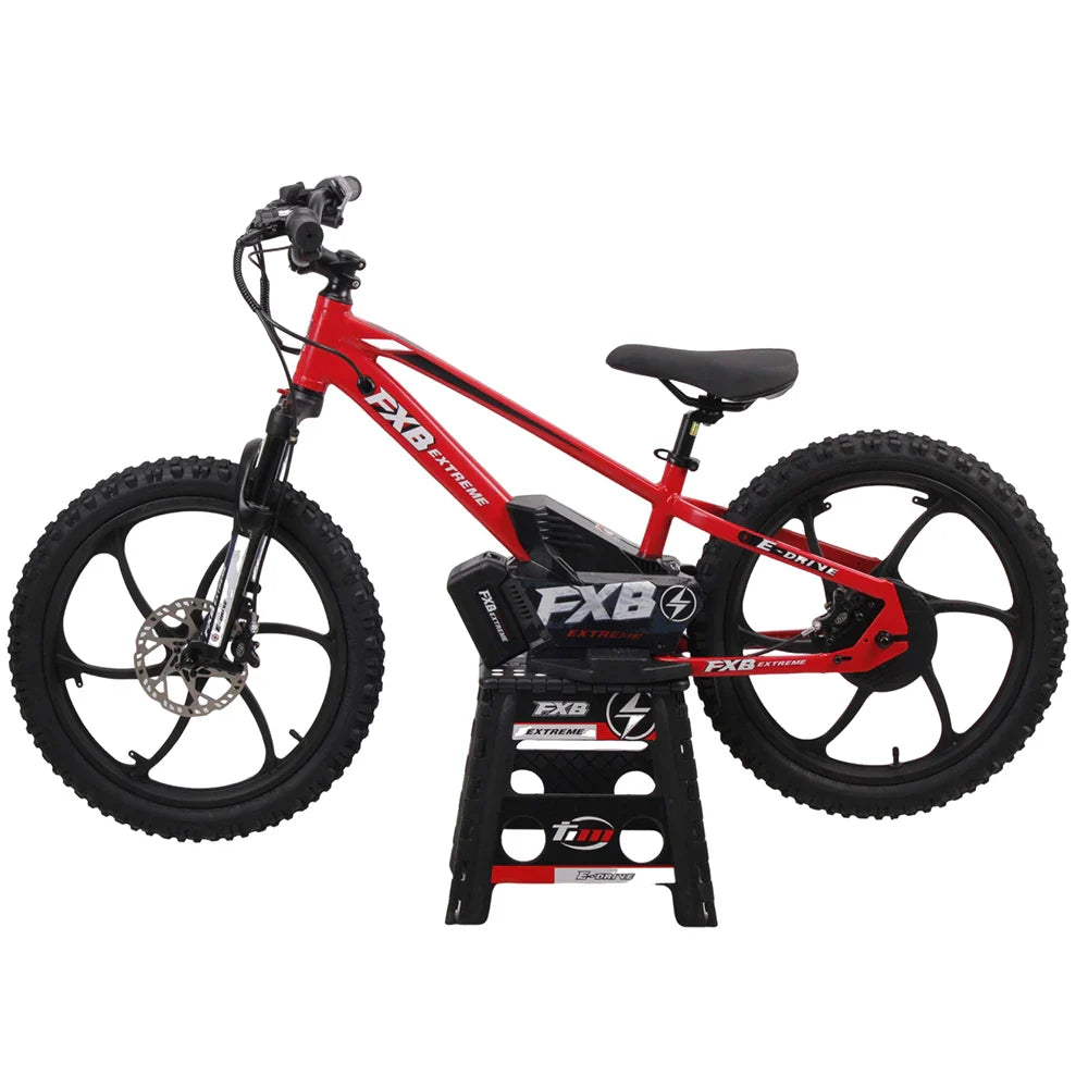 KTX-918867 20-Inch Electric Balance Bike for Kids, 36V Brushless Motor, Hydraulic Disc Brakes, Aluminum Frame, Ages 8-13