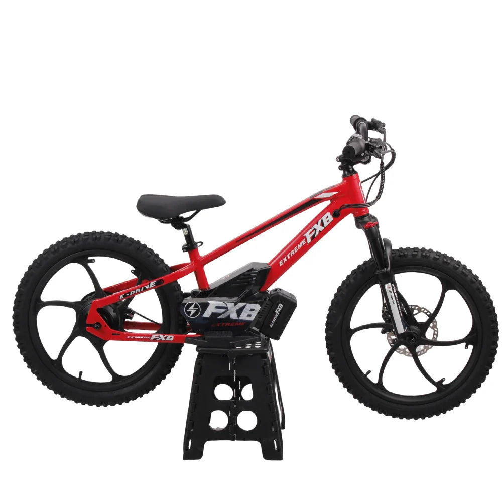 KTX-918867 20-Inch Electric Balance Bike for Kids, 36V Brushless Motor, Hydraulic Disc Brakes, Aluminum Frame, Ages 8-13