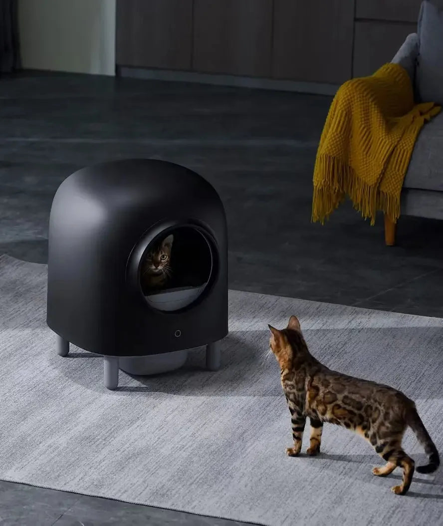 KTX-921363 Automatic Self-Cleaning Cat Litter Box with APP Control for Hassle-Free Maintenance