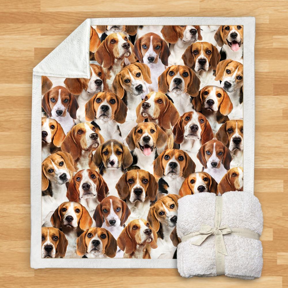 KTX-932115 Modern Printed Flannel Blanket for Dogs - Available in Two Sizes (120x150, 150x200)