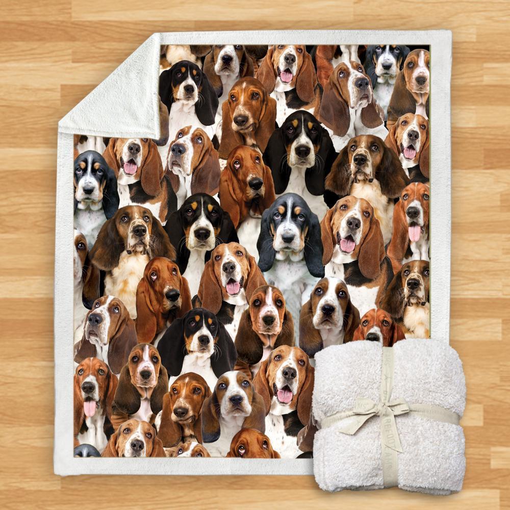 KTX-932115 Modern Printed Flannel Blanket for Dogs - Available in Two Sizes (120x150, 150x200)