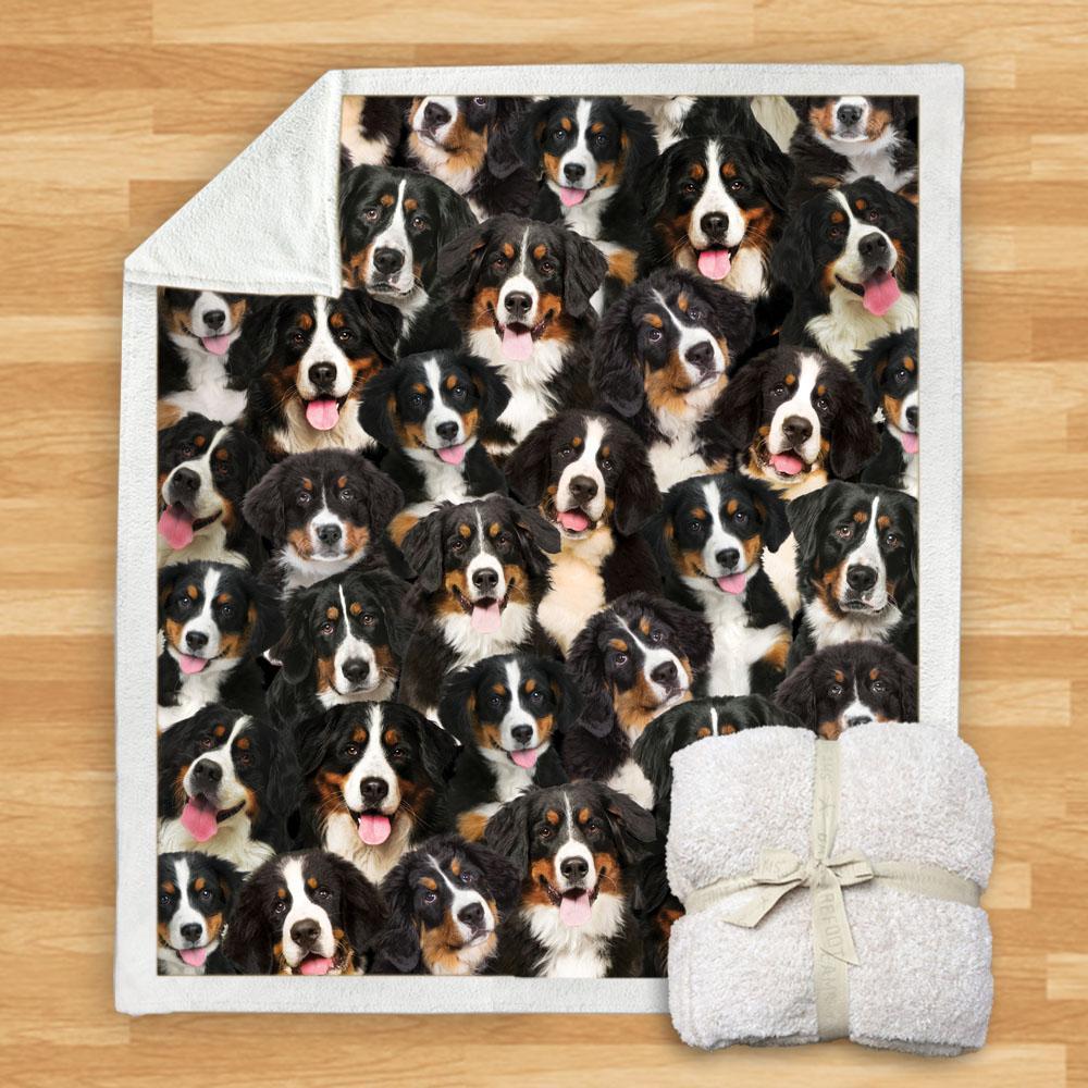 KTX-932115 Modern Printed Flannel Blanket for Dogs - Available in Two Sizes (120x150, 150x200)