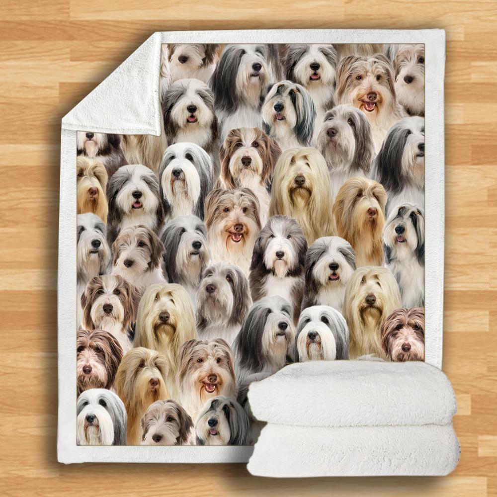 KTX-932115 Modern Printed Flannel Blanket for Dogs - Available in Two Sizes (120x150, 150x200)