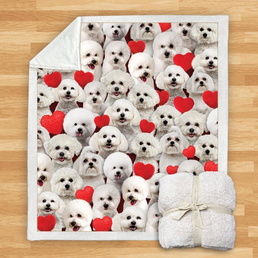 KTX-932115 Modern Printed Flannel Blanket for Dogs - Available in Two Sizes (120x150, 150x200)