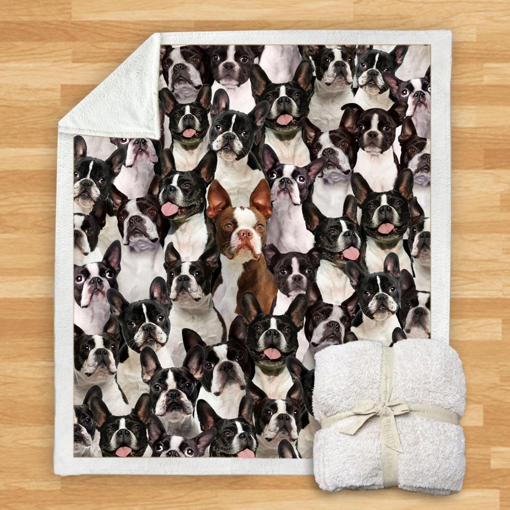 KTX-932115 Modern Printed Flannel Blanket for Dogs - Available in Two Sizes (120x150, 150x200)