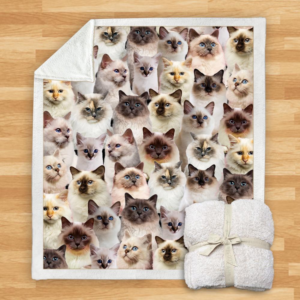KTX-932115 Modern Printed Flannel Blanket for Dogs - Available in Two Sizes (120x150, 150x200)