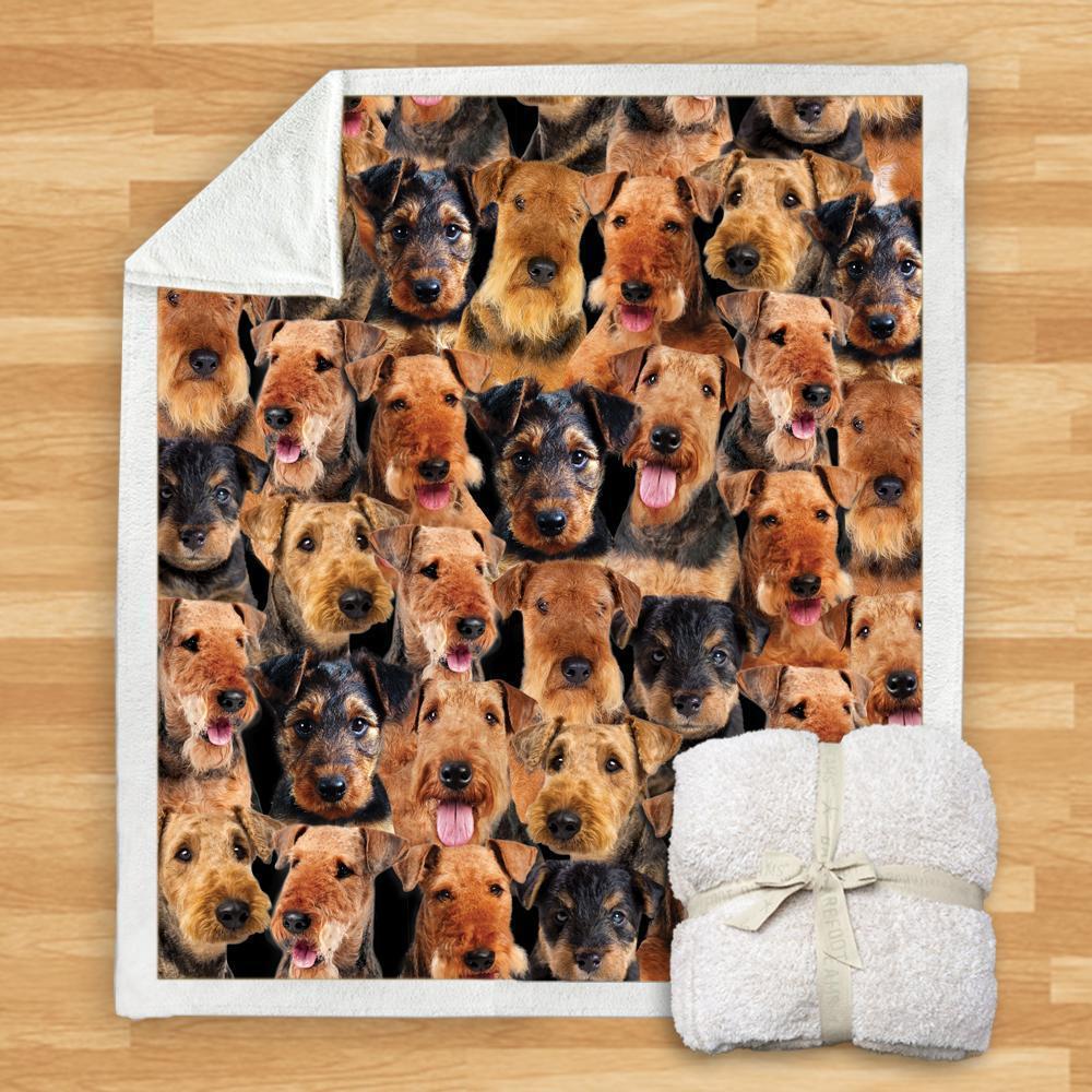 KTX-932115 Modern Printed Flannel Blanket for Dogs - Available in Two Sizes (120x150, 150x200)