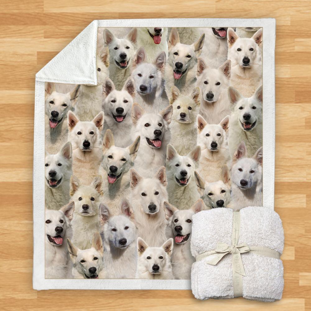 KTX-932115 Modern Printed Flannel Blanket for Dogs - Available in Two Sizes (120x150, 150x200)