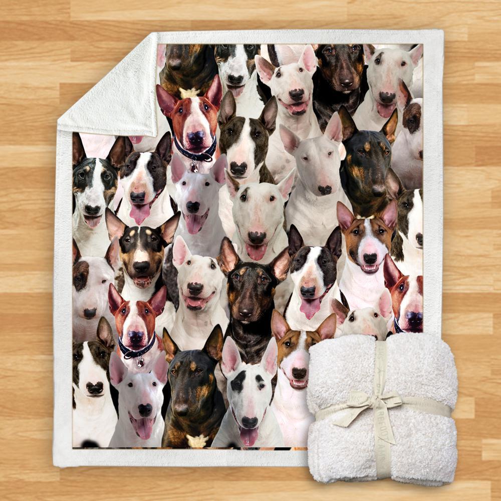 KTX-932115 Modern Printed Flannel Blanket for Dogs - Available in Two Sizes (120x150, 150x200)