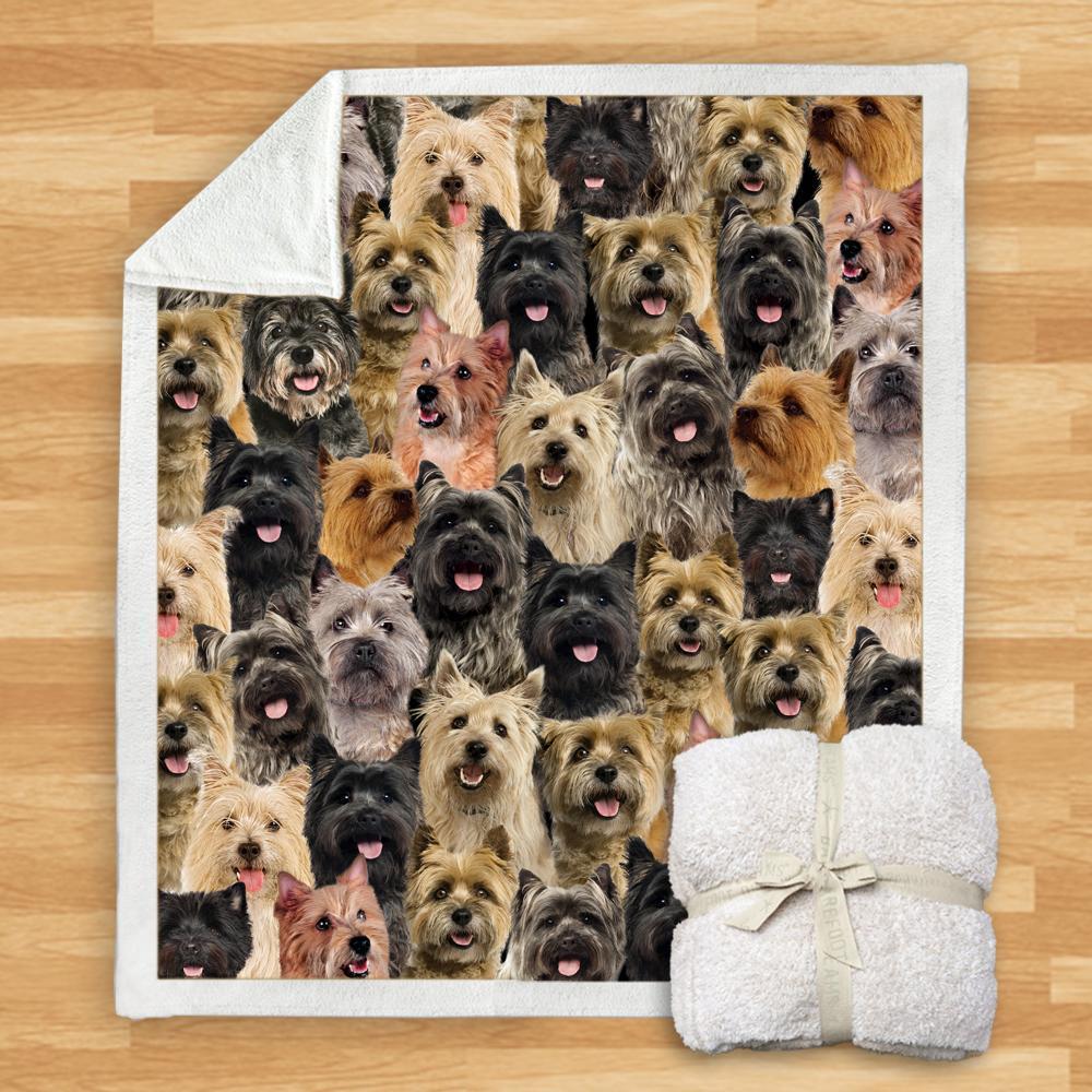 KTX-932115 Modern Printed Flannel Blanket for Dogs - Available in Two Sizes (120x150, 150x200)