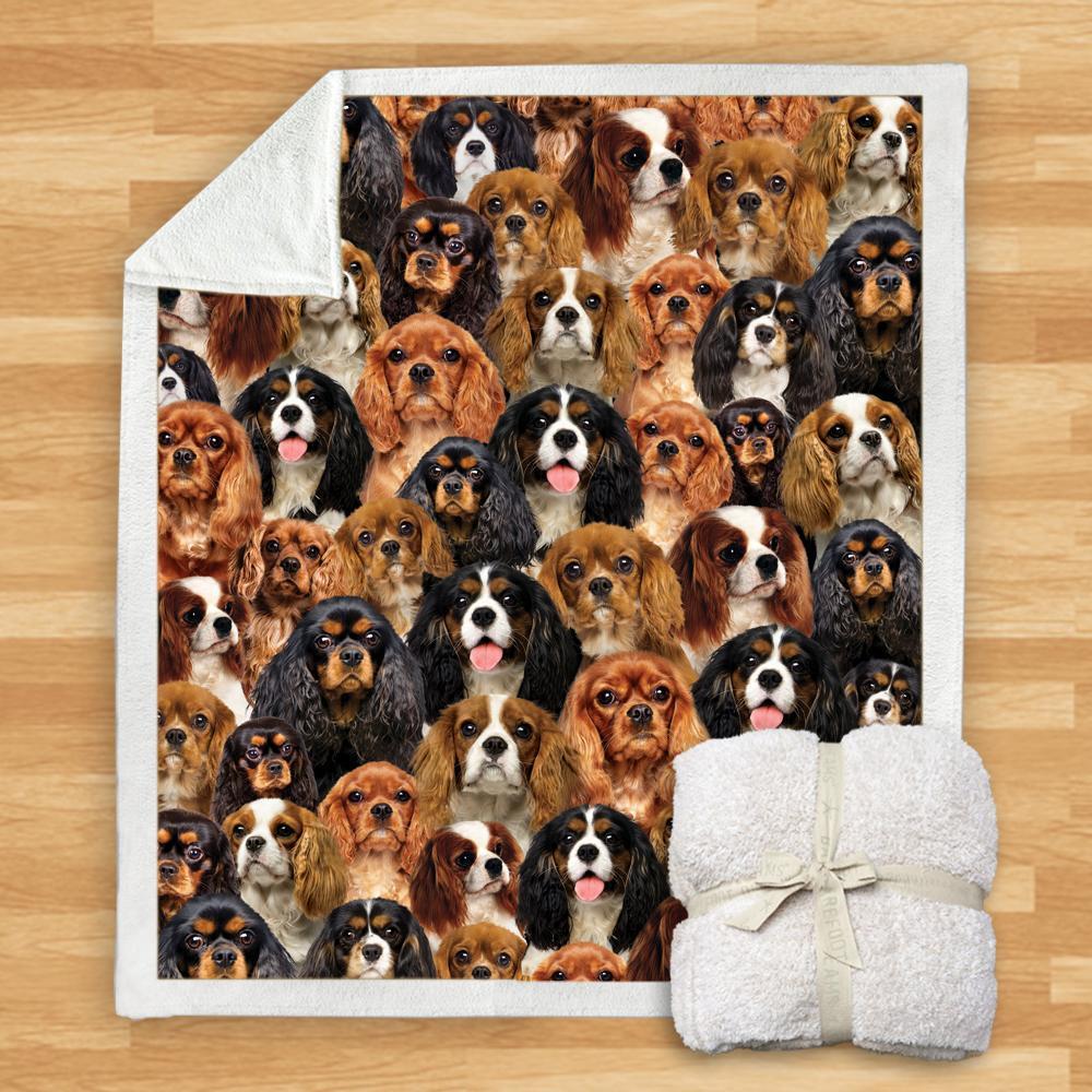 KTX-932115 Modern Printed Flannel Blanket for Dogs - Available in Two Sizes (120x150, 150x200)