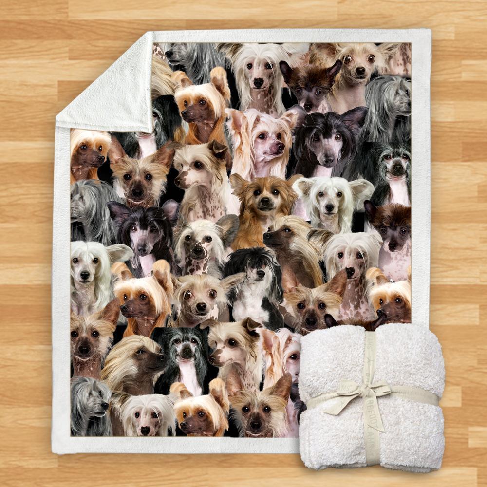 KTX-932115 Modern Printed Flannel Blanket for Dogs - Available in Two Sizes (120x150, 150x200)