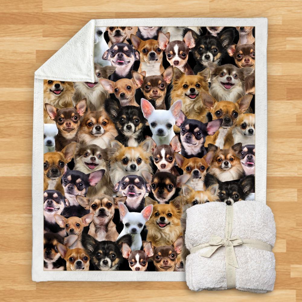 KTX-932115 Modern Printed Flannel Blanket for Dogs - Available in Two Sizes (120x150, 150x200)