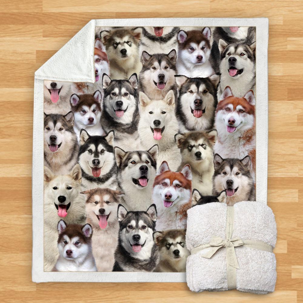 KTX-932115 Modern Printed Flannel Blanket for Dogs - Available in Two Sizes (120x150, 150x200)