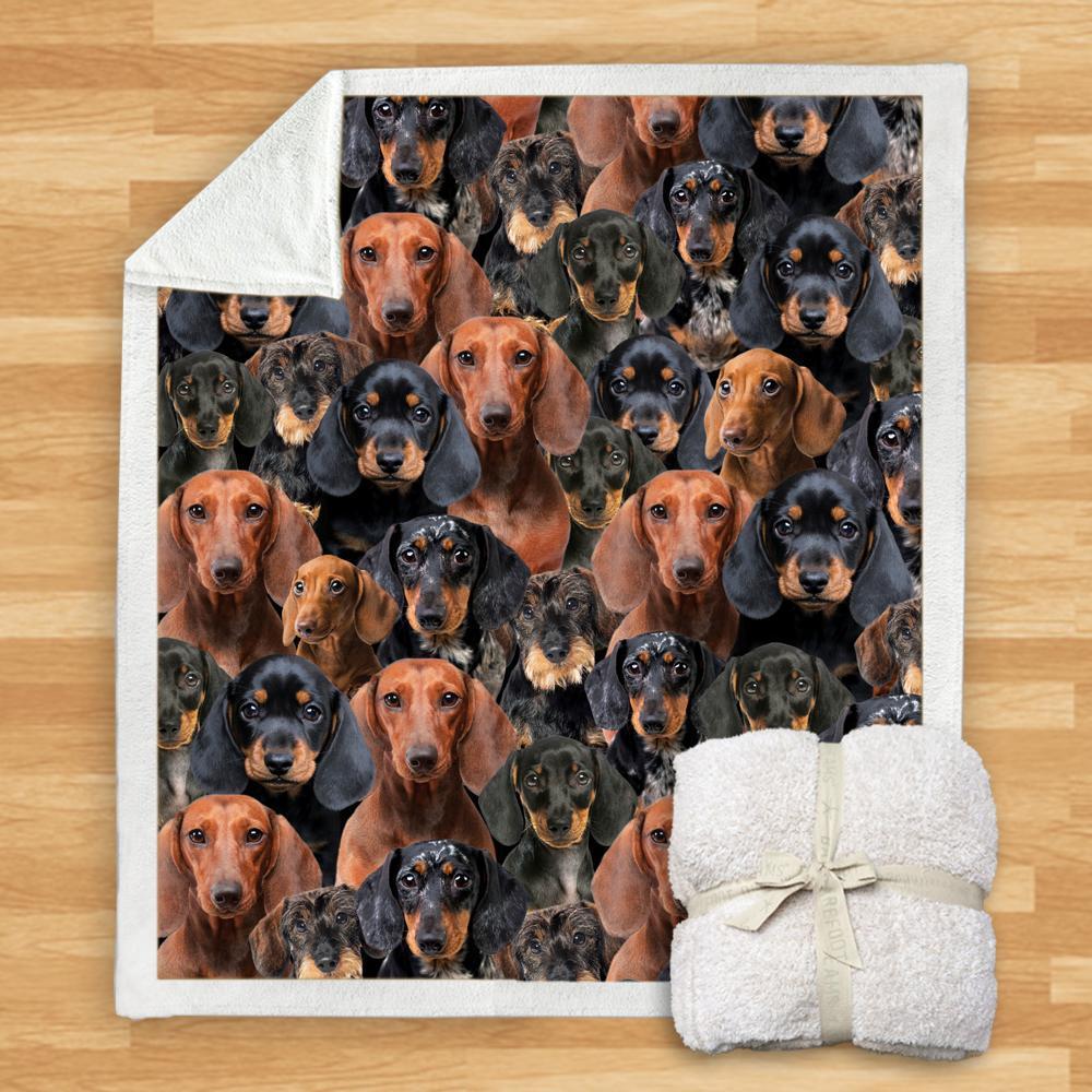 KTX-932115 Modern Printed Flannel Blanket for Dogs - Available in Two Sizes (120x150, 150x200)