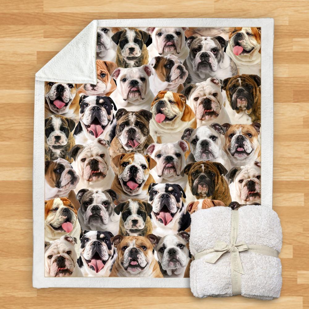 KTX-932115 Modern Printed Flannel Blanket for Dogs - Available in Two Sizes (120x150, 150x200)