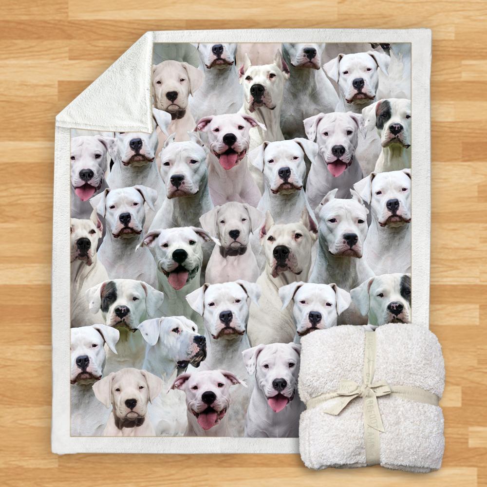 KTX-932115 Modern Printed Flannel Blanket for Dogs - Available in Two Sizes (120x150, 150x200)