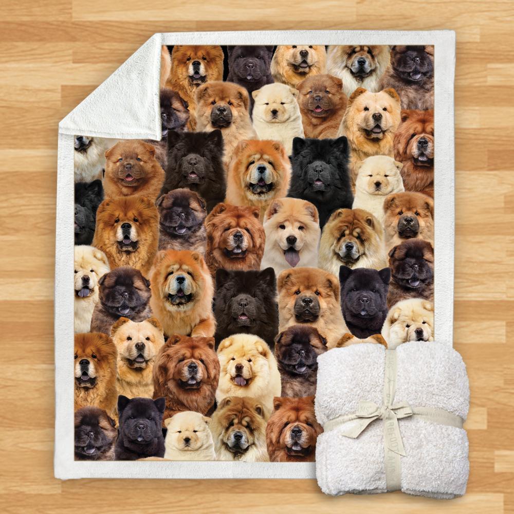 KTX-932115 Modern Printed Flannel Blanket for Dogs - Available in Two Sizes (120x150, 150x200)