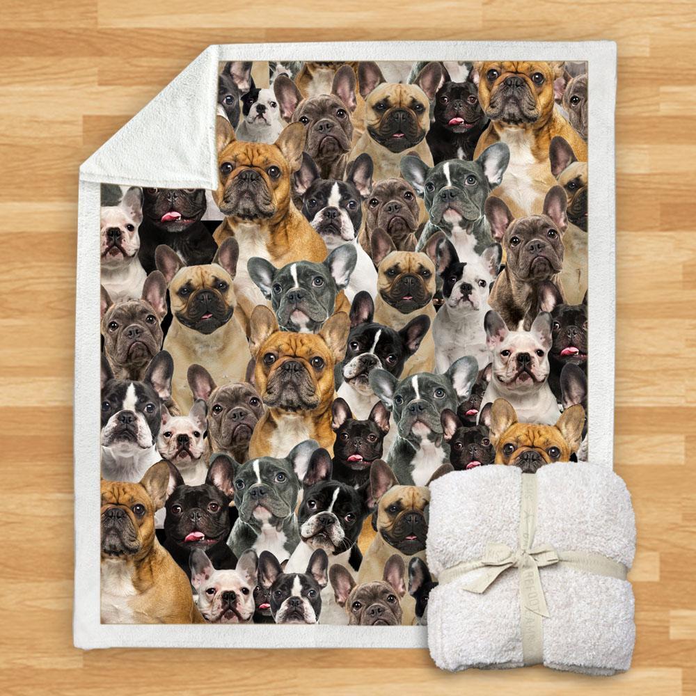 KTX-932115 Modern Printed Flannel Blanket for Dogs - Available in Two Sizes (120x150, 150x200)