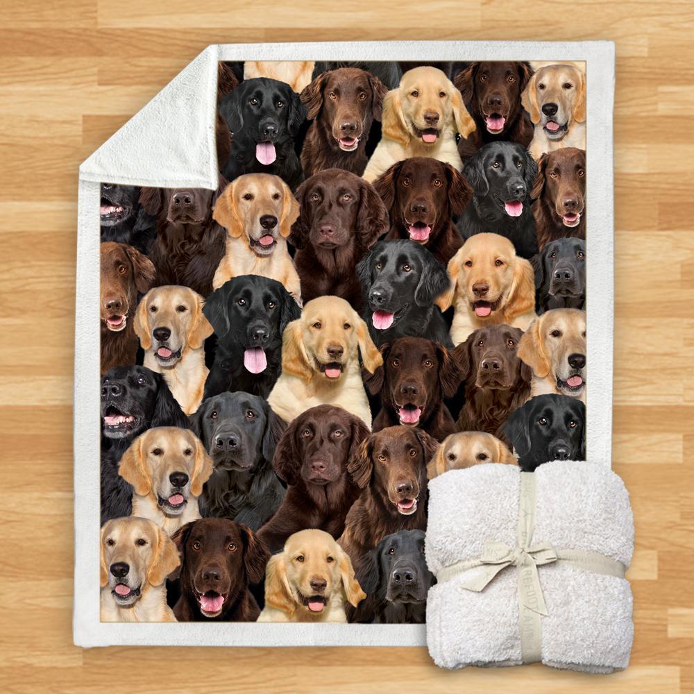 KTX-932115 Modern Printed Flannel Blanket for Dogs - Available in Two Sizes (120x150, 150x200)