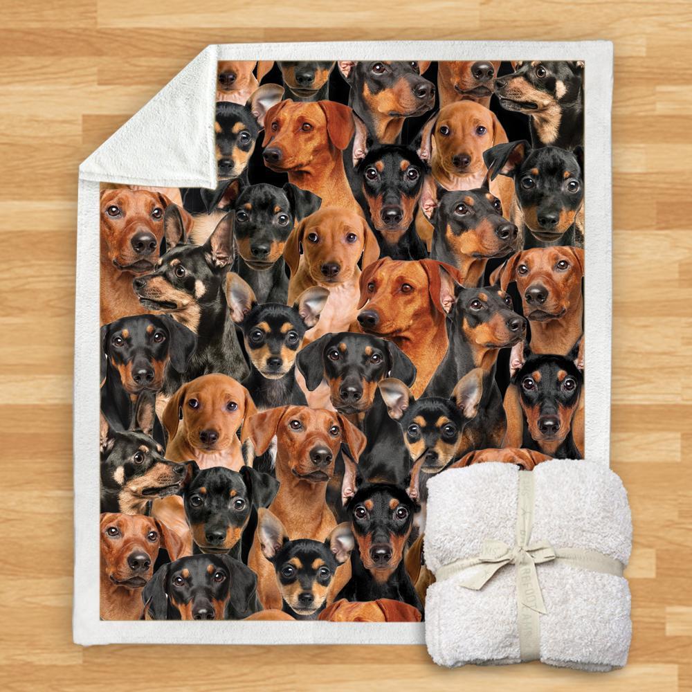 KTX-932115 Modern Printed Flannel Blanket for Dogs - Available in Two Sizes (120x150, 150x200)