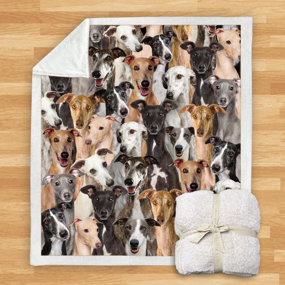 KTX-932115 Modern Printed Flannel Blanket for Dogs - Available in Two Sizes (120x150, 150x200)