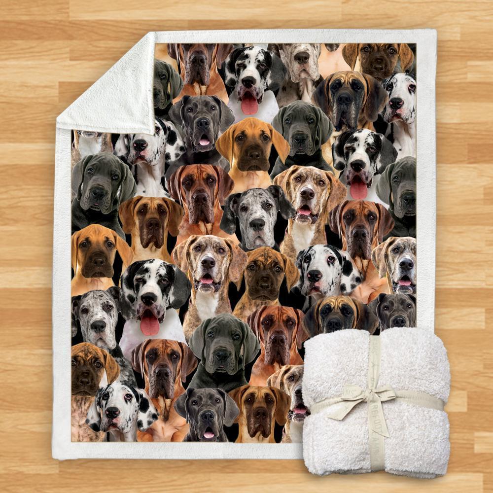 KTX-932115 Modern Printed Flannel Blanket for Dogs - Available in Two Sizes (120x150, 150x200)