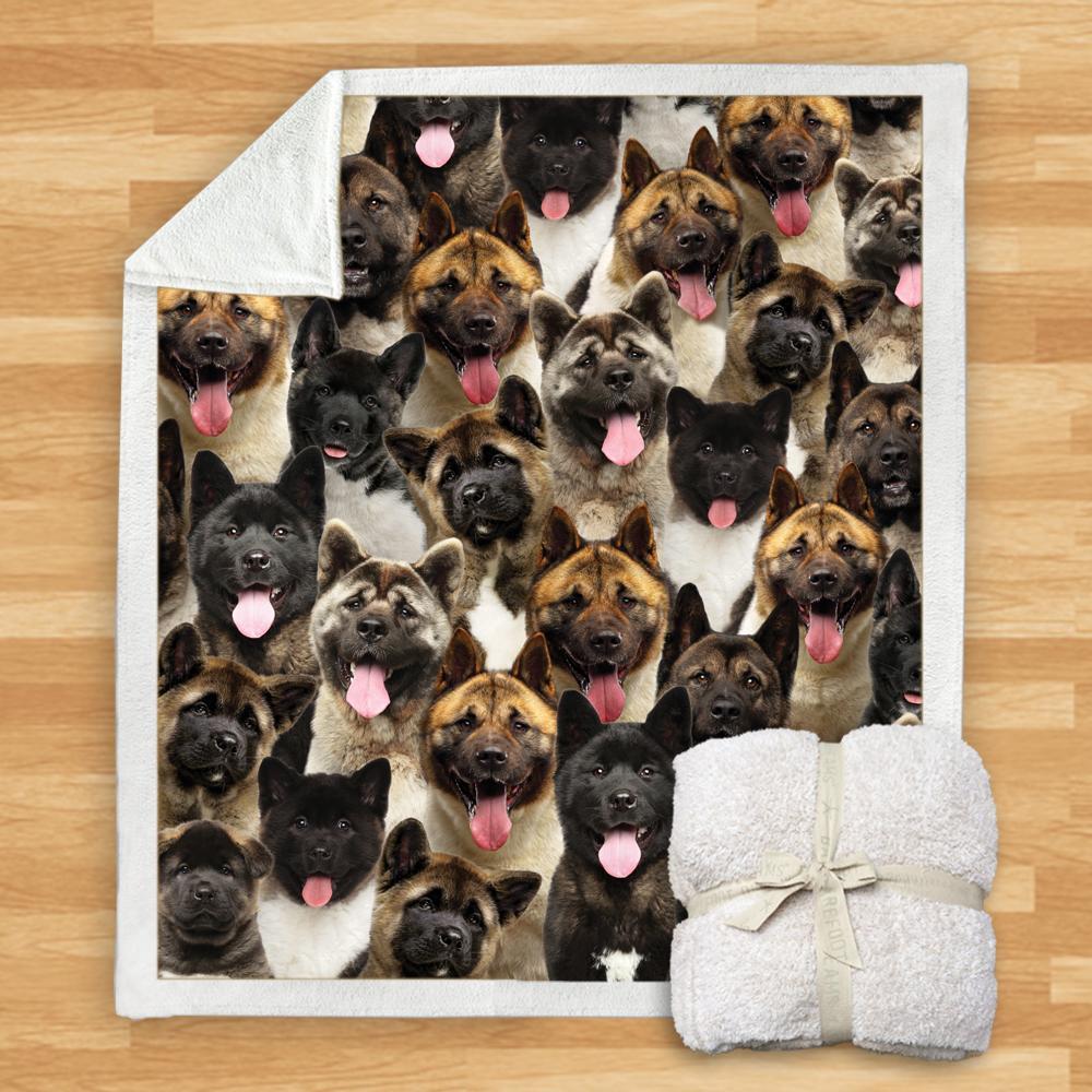 KTX-932115 Modern Printed Flannel Blanket for Dogs - Available in Two Sizes (120x150, 150x200)