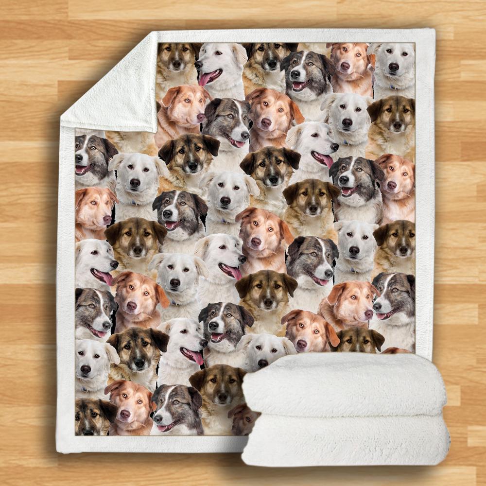 KTX-932115 Modern Printed Flannel Blanket for Dogs - Available in Two Sizes (120x150, 150x200)