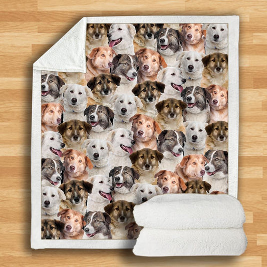 KTX-932115 Modern Printed Flannel Blanket for Dogs - Available in Two Sizes (120x150, 150x200)