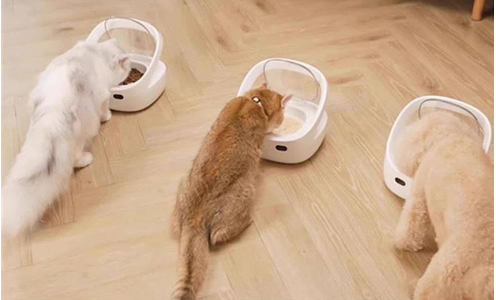 KTX-941843 Smart Pet Feeder with Accurate Portion Control and Anti-Theft Features
