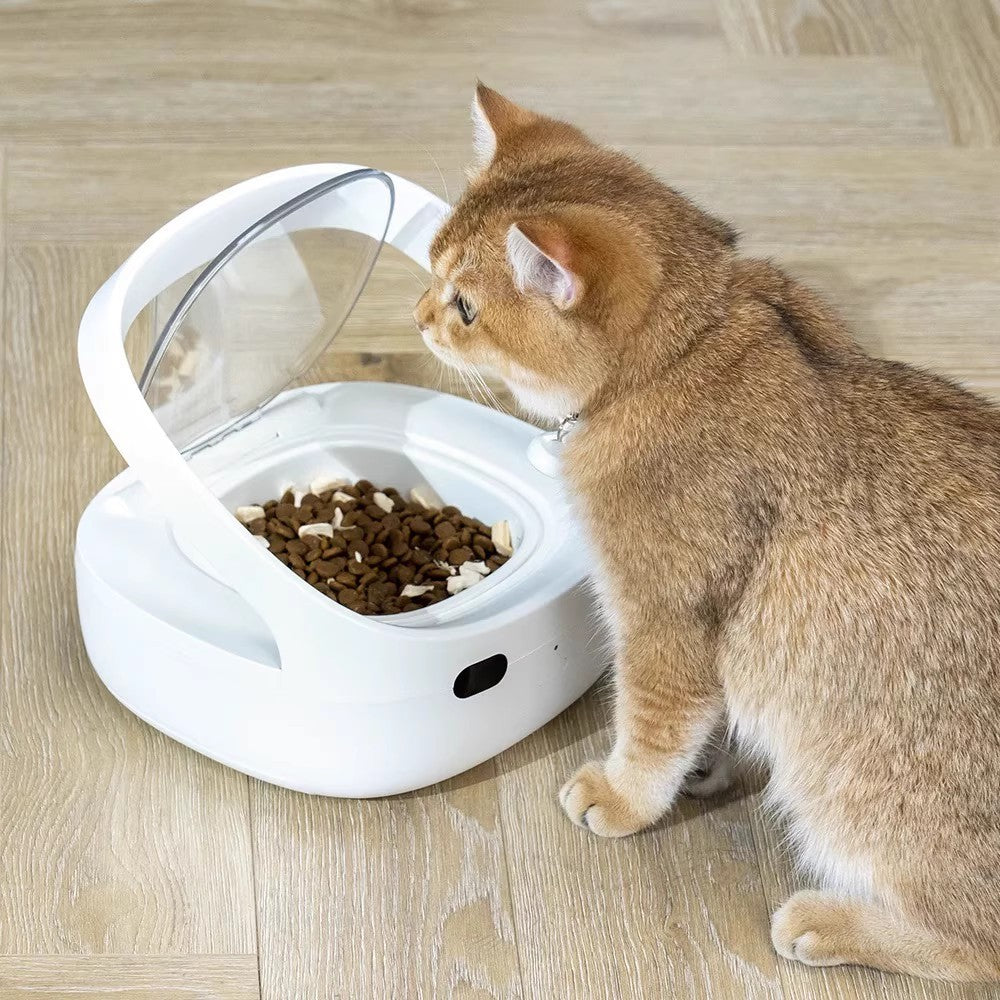 KTX-941843 Smart Pet Feeder with Accurate Portion Control and Anti-Theft Features