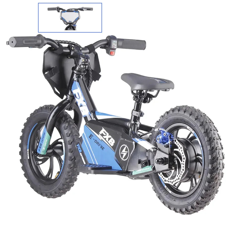 KTX-951635 Electric Kids Balance Bike, 12/16 Inch Non-Pedal Design, 250W, Lightweight Aluminum Frame, Disc Brake, Ages 3-6
